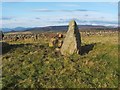 NS3678 : Walton Farm chambered cairn by Lairich Rig