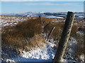 NS3680 : A fence on the moor by Lairich Rig