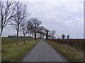 TM3064 : Road near footpath to Redhouse Farm by Geographer