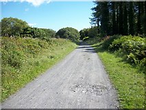  : Cycle Path by michael