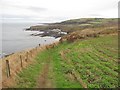 NT9561 : Berwickshire Coast Path by Richard Webb