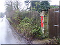 TM2649 : Manor Road & Manor Road Edward VII Postbox by Geographer