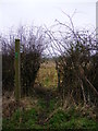 TM4065 : Footpath to Honeypot Lane by Geographer