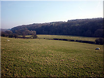  : Sheep pastures, Hindburndale by Karl and Ali