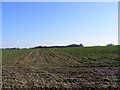 TM4072 : Footpath to the A12 London Road by Geographer