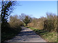 TM4072 : South Manor Lane, Bramfield by Geographer