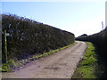 TM3970 : Footpath to the A1120 High Street & entrance to Martin's Farm by Geographer