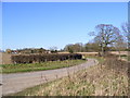 TM3870 : Sibton Road, Yoxford by Geographer