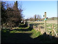 TM3869 : Footpath to Sibton Road near Danbrook Bridge by Geographer