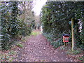 TM3968 : Love Lane footpath to North Green by Geographer