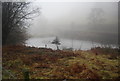 SO4694 : Lake in Caer Caradoc Woods by N Chadwick