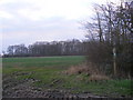 TM3663 : Footpath to Dodd's Wood via Crane's Wood by Geographer