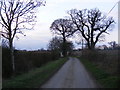 TM3663 : Deadman's Lane, Benhall by Geographer