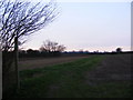 TM3664 : Footpath to the A12 Saxmundham Bypass by Geographer