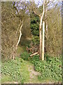 TM3760 : Footpath to the A1094 Farnham Road by Geographer