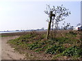 TM4059 : Footpath to Church Common by Geographer