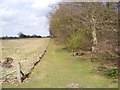 TM3759 : Path off the footpath to Botany Cottage by Geographer