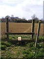 TM3660 : Footpath to Hill Farm Road by Geographer