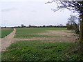 TM3862 : Footpath to the B1121 South Entrance by Geographer