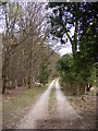 TM3760 : Footpath to Monks Valley House by Geographer