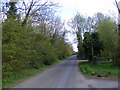 TM3268 : Pound Green Road, Badingham by Geographer