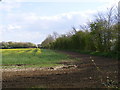 TM3169 : Footpath to the A1120 High Road by Geographer