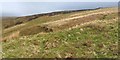 NS4277 : Remains of an ancient farmhouse by Lairich Rig