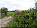 TM2963 : Footpath to the B1120 Badingham Road by Geographer