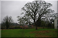 TF6833 : Footpath past the farmhouse at Snettisham Park by Phil Champion