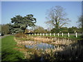 TL3669 : A pond at Swavesey by Marathon