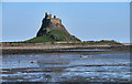 NU1341 : Lindisfarne Castle by Peter McDermott