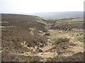 NZ6301 : Looking down into Farndale by Jonathan Thacker