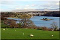 SH5471 : Farmland near Menai Strait, Anglesey by Christine Matthews