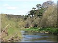 NT8743 : River Tweed, Tillmouth by Richard Webb