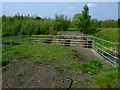 NS4363 : Former railway bridge by Thomas Nugent