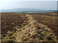 NS4377 : Old field boundary by Lairich Rig