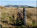 NS4982 : Moorland fence by Lairich Rig