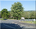 ST2890 : Deciduous trees, Blackwater Close, Bettws, Newport by Jaggery