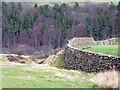 NZ0101 : Drystone wall near Raw Bank by Maigheach-gheal