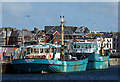 J5082 : Mussel dredgers at Bangor by Rossographer