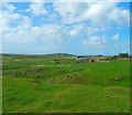 NX3738 : Cairndoon Farm by Andy Farrington