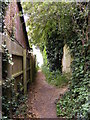 TM3056 : Footpath to the B1438 Snowdon Hill by Geographer