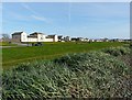 NY0843 : Green to the north of Allonby village by Rose and Trev Clough