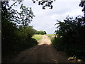 TM2957 : Bridleway to Hatcheston Lodge & B1116 The Street by Geographer