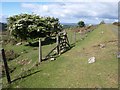 SX5672 : Bridleway leaving disused railway near Swelltor by Derek Harper