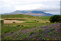 NM4789 : Grazing Land by Glen Breaden