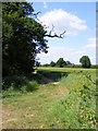 TM3761 : Footpath to the A12 Saxmundham Bypass & Deadman's Lane by Geographer