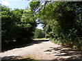 TM3266 : Footpath to Shrublands Farm & entrance to White House & Hill Top Farm by Geographer