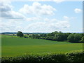 SU5930 : Farmland near Cheriton by Graham Horn