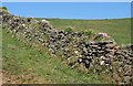 SW9680 : Cornish hedge near Port Quin by Derek Harper